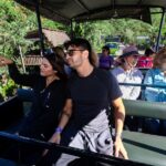 Canopy Los Veranos Zipline - The Thrilling Zipline Course: 19 Lines Over Jungle and River