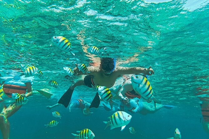 Catamaran to Isla Mujeres, from Playa del Carmen or Riviera Maya - The Departure Experience from Playa del Carmen and Riviera Maya