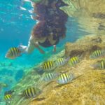 Cenote; Snorkeling and Photos with Colorful Fish - Expert Guides: Martín and Melqui Leading Your Marine Adventure