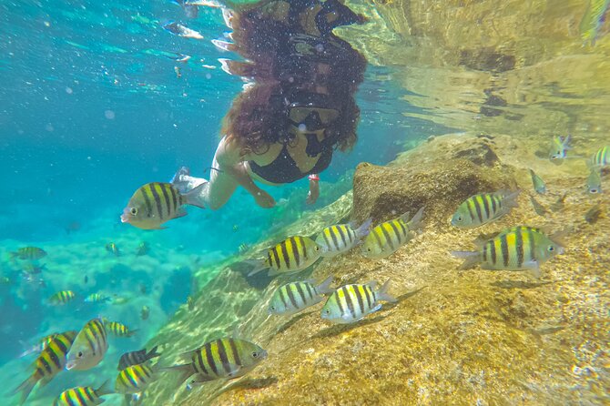 Cenote; Snorkeling and Photos with Colorful Fish - Expert Guides: Martín and Melqui Leading Your Marine Adventure