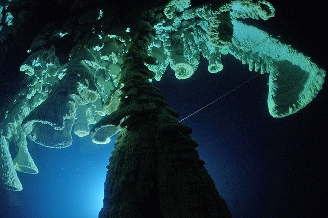 Cenotes 2-Tank Dive in Playa del Carmen/for certified divers only - What Makes the Cenote Environment Unique