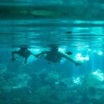 Cenotes and Snorkel - Diving into the Clear Waters of Yalku Lagoon