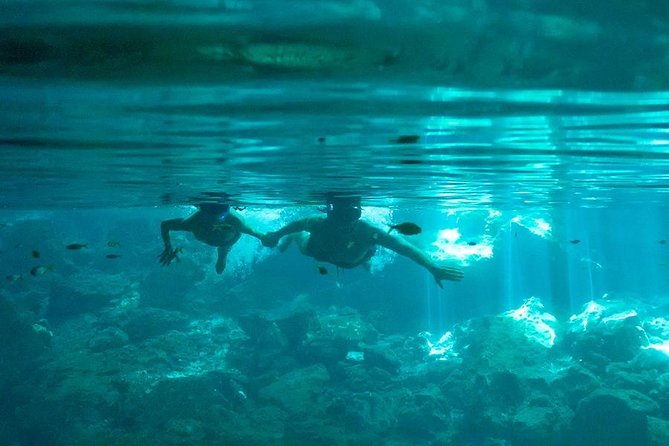 Cenotes and Snorkel - Diving into the Clear Waters of Yalku Lagoon