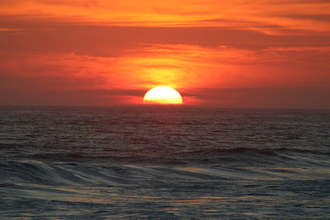Chacahua Afternoon Journey - Witnessing Mexico’s Best Bioluminescence