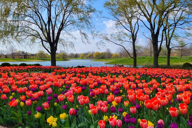 Chicago Suburbs Hidden Gems: Small-Group Exploration Tour - The Leaning Tower of Niles: A Quirky Landmark