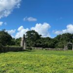 Chichen Itza Mayan Flavors and Jungle at Hacienda Privada with Cenote - Starting the Day with a Visit to Chichen Itza