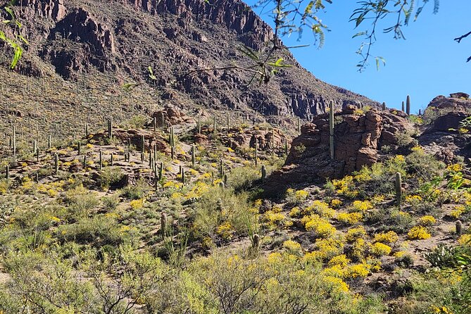City of Tucson Tour - Exploring Tucson’s Historic Neighborhoods and the Presidio District
