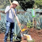Classic Tequila Tour and CANTARITOS EL GÜERO - Savor Traditional Mexican Cuisine During a Local Restaurant Stop