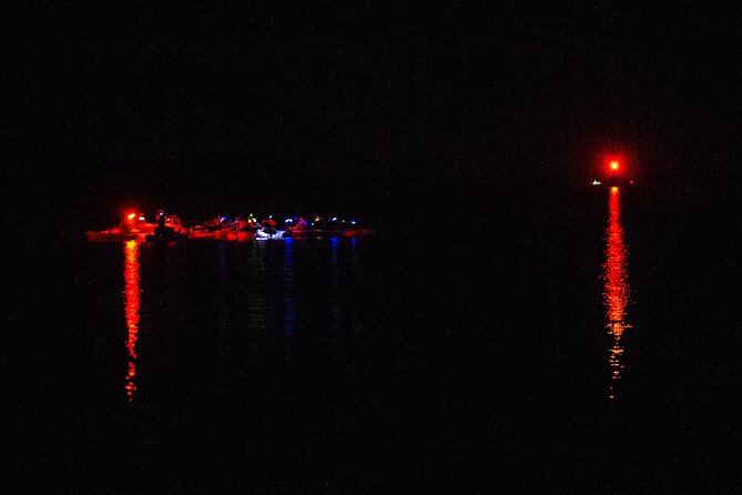 Clear Kayak Bioluminescence Tour - Cocoa Beach - The Unique Appeal of Florida’s Bioluminescent Bay