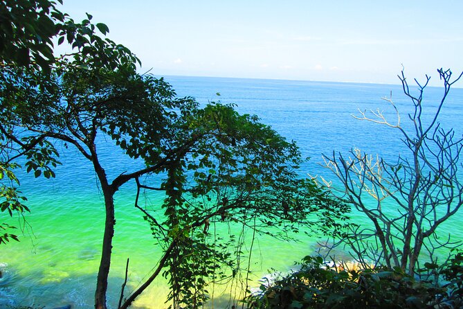 Coastal Adventure in Quimixto : Hiking and Cooking Workshop - Walking Along Tropical Trails to Quimixto Waterfall