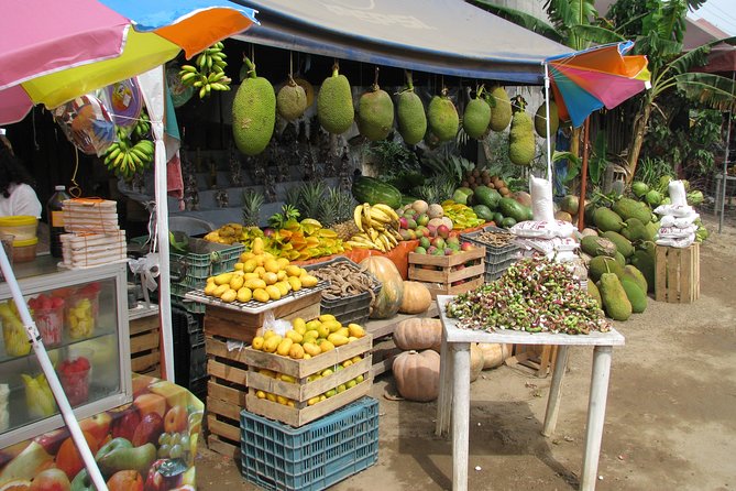 colima cultural and volcano - Visiting Colima’s City Center and Artistic Heritage