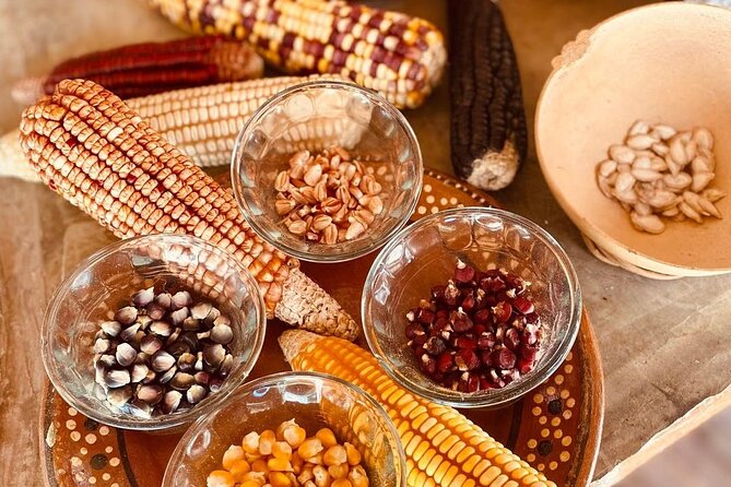 Cozumel Mayan Cultural Show: Dances, tastings & explore - Cozumel’s Central Meeting Point and Transportation Details