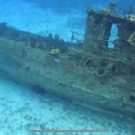 Cozumel, Passion Island: 4-Hour Private Tour - Starting Point Near El Mayor Snorkeling Tours