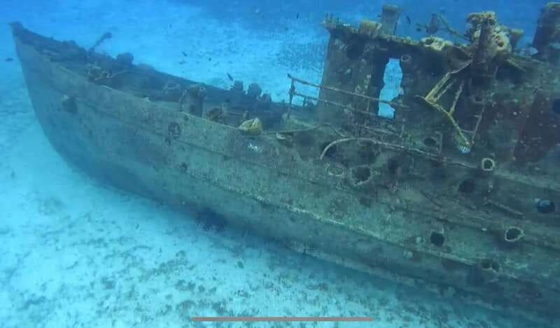 Cozumel, Passion Island: 4-Hour Private Tour - Starting Point Near El Mayor Snorkeling Tours