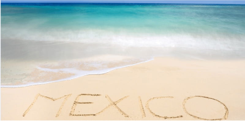 Cozumel: Snorkeling Adventure - Encounter Caribbean Fish and Marine Creatures