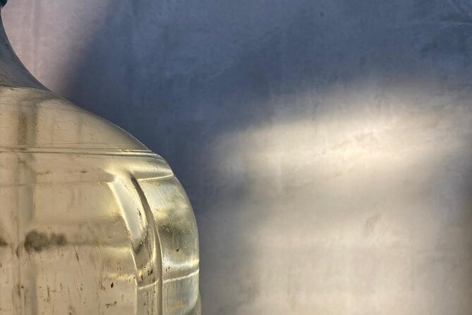 Cultural Tasting of 3 Roots in Puerto Vallarta - How the Tasting Is Structured in a Relaxed Atmosphere