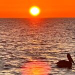 Daytona Beach: Sunrise Cruise on the Atlantic Ocean - Departure Point and Meeting Logistics in Daytona Beach