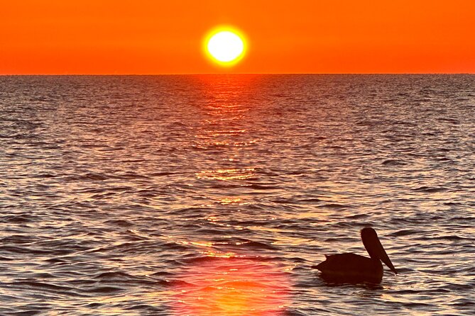 Daytona Beach: Sunrise Cruise on the Atlantic Ocean - Departure Point and Meeting Logistics in Daytona Beach