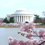 DC City Tour + Washington Monument, Air & Space, African American - Walking Up the Lincoln Memorial Steps and Capturing the View