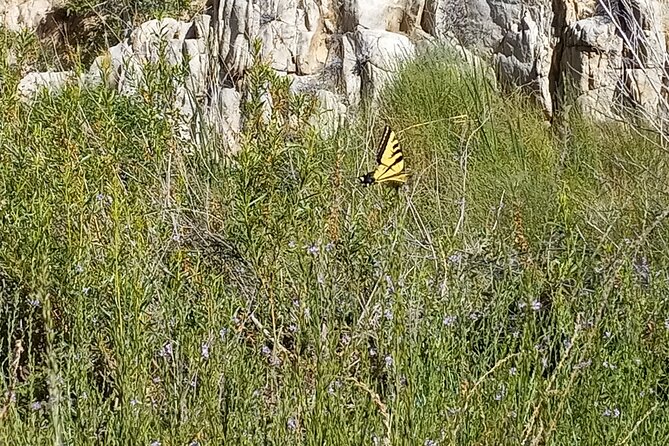 Deep Creek Hot Springs Adventure from Los Angeles - The 2-Mile Descent into Deep Creek Canyon