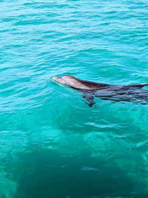 Destin: Public 3 Hour Crab Island and Harbor Tour - Discover the Perfect Balance of Adventure and Relaxation on a 3-Hour Crab Island Tour