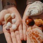 Destin Shelling and Dolphin Adventure - Searching for Dolphins in the Bay or Gulf