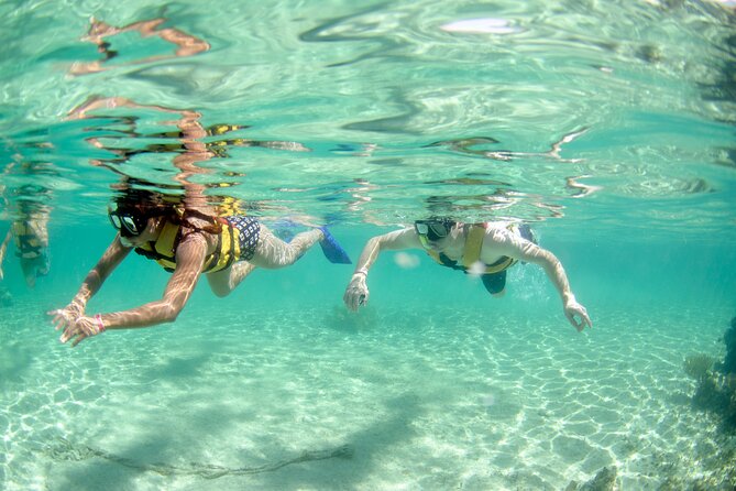 Discover El Cielo and Cozumel Snorkeling Adventure - From Cancun to Cozumel: Easy Transportation and Ferry Ride