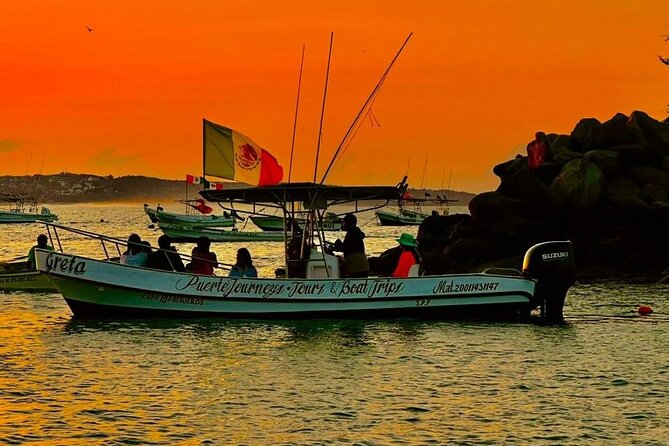 Dolphin and Whale Watching Boat Trip in Puerto Escondido - Marine Life Encounters in the Pacific Ocean