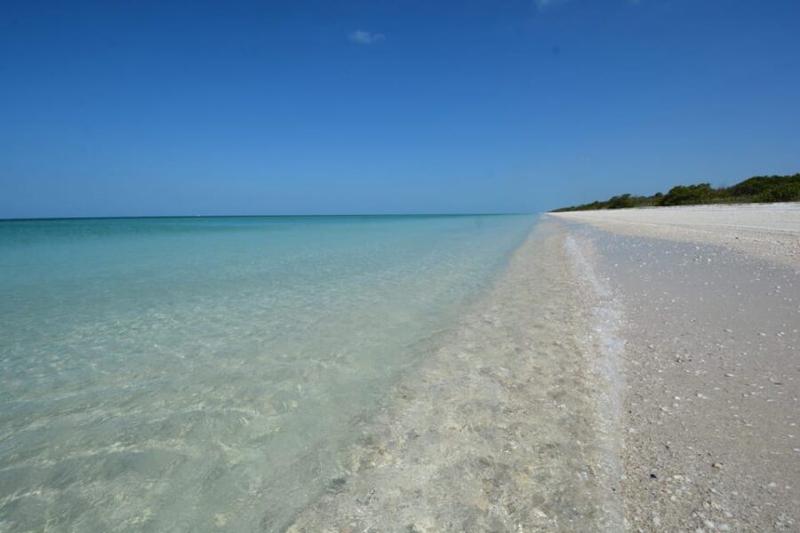 Dolphin Watch/Eco Cruise - Navigating through Naples Bay and Mangroves