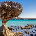 Espiritu Santo and Sealion Swimming aboard a luxury yacht - Visiting Balandra Beach and Mushroom Rock