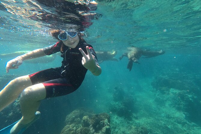 Espíritu Santo Island snorkel and sightseeing tour on Small Group - The Unique Setting of Isla Espíritu Santo