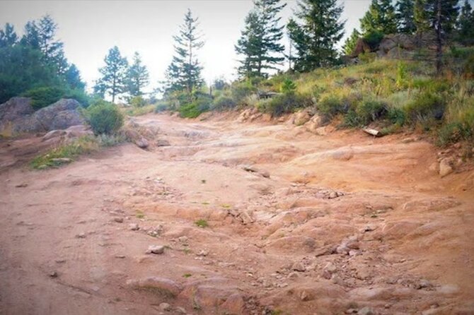Estes Park Off Road 4x4 Jeep Adventure Tour - Starting Point and Group Size