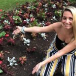 Explore Colorado Springs with a Unique Scavenger Hunt by Operation City Quest - How the Mobile App Guides the Experience