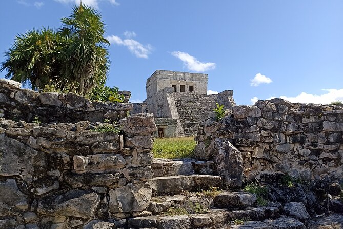 Explore Tulum Tour to Cenote and Ruins - Casa Tortuga 4 Cenotes: A Natural Wonder in Tulum