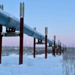 Fairbanks: Arctic Circle Tour with Northern Lights Hunt - Crossing the Arctic Circle at 66°33’ North