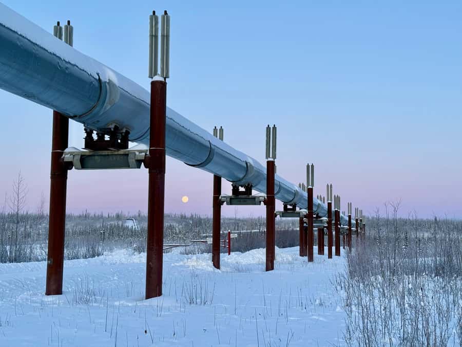 Fairbanks: Arctic Circle Tour with Northern Lights Hunt - Crossing the Arctic Circle at 66°33’ North