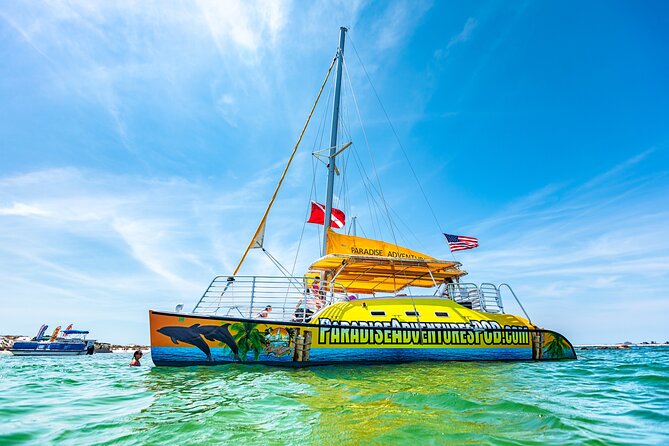 Footloose Catamaran Snorkel and Dolphin Watch Tour - Snorkeling at Shell Island and Marine Life Encounters