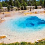 From Bozeman Yellowstone Full Day Tour Lower Loop - Visit Fountain Paint Pots in the Lower Geyser Basin