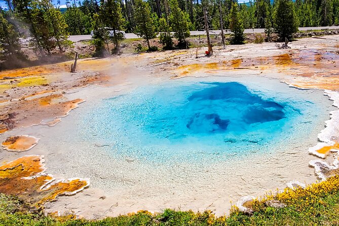 From Bozeman Yellowstone Full Day Tour Lower Loop - Visit Fountain Paint Pots in the Lower Geyser Basin