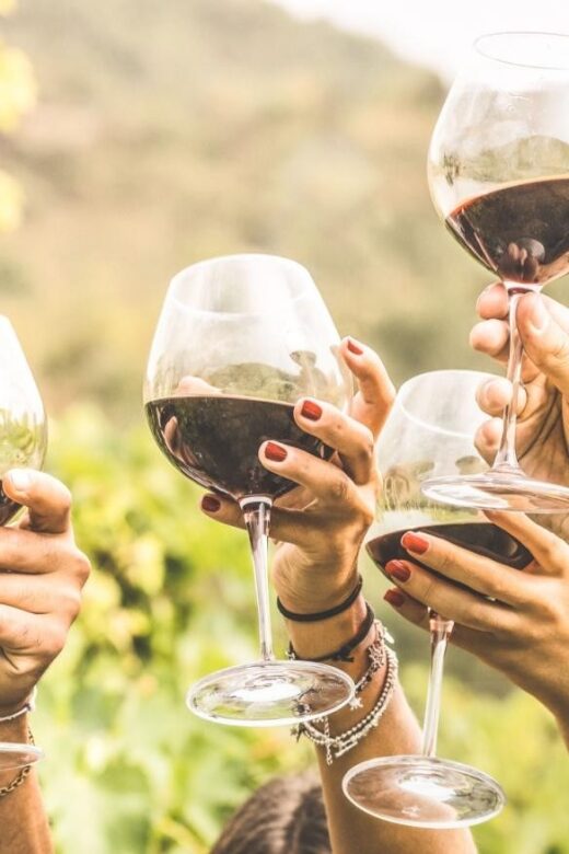 Grape Escapes Full-Day Private Wine Tour in Ithaca - Scenic Journey Through the Finger Lakes Region