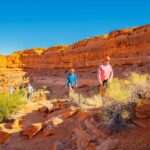 Greater Zion: UTV Ride and Rappel Combo Adventure - The Thrill of Off-Roading in Greater Zion’s Desert Landscape