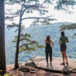 Half Day Hike in New River Gorge National Park & Preserve - The Views and Wildlife of New River Gorge