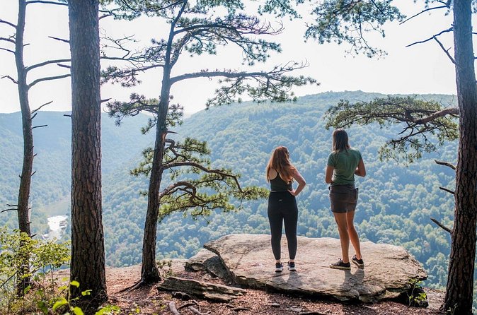 Half Day Hike in New River Gorge National Park & Preserve - The Views and Wildlife of New River Gorge