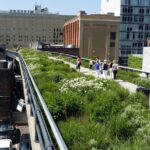 High Line and Hudson Yards Private Walking Tour - Strolling Through the Meatpacking District