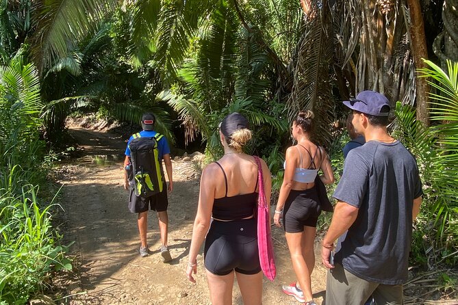 Hike and Yoga Jungle Experience in Mexico - Relaxing Beach Yoga Under Shade of Palm Trees