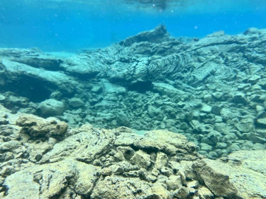 Hilo: 2 Tank Remote Reefs Diving Trip with Snacks and Drinks - Underwater topography: Pinnacles, lava tubes, and canyons