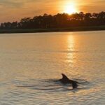 Hilton Head Island: Sunset Dolphin Watching Tour - Exploring Broad Creek’s Lowcountry Waterways