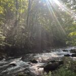 Historical Hikes in the Great Smoky Mountains National Park - What Makes the Guided Hike Unique?