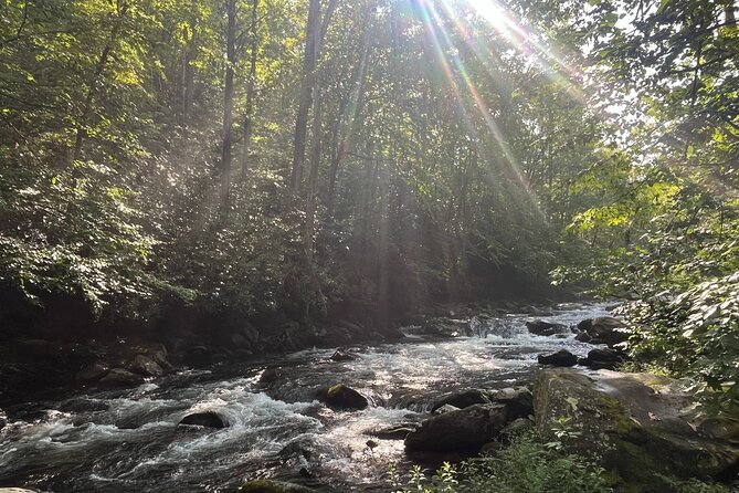 Historical Hikes in the Great Smoky Mountains National Park - What Makes the Guided Hike Unique?