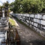 History of New Orleans Private Driving & Walking Tour - Starting the Tour: Convenient Hotel Pickup and Luxury Transportation